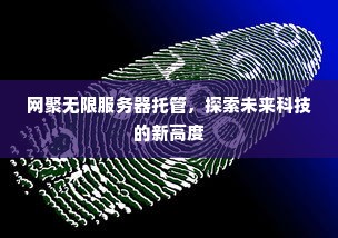 网聚无限服务器托管，探索未来科技的新高度