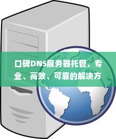 口碑DNS服务器托管，专业、高效、可靠的解决方案