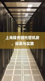 上海服务器托管机房，探索与实践