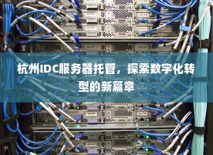 杭州IDC服务器托管，探索数字化转型的新篇章