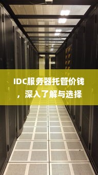 IDC服务器托管价钱，深入了解与选择