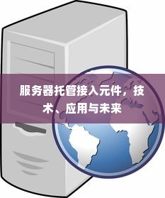 服务器托管接入元件，技术、应用与未来