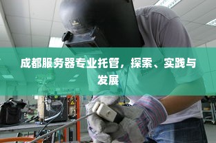 成都服务器专业托管，探索、实践与发展