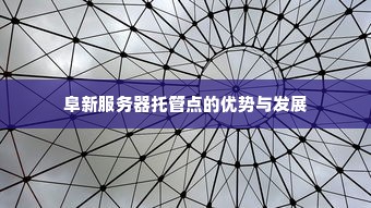 阜新服务器托管点的优势与发展