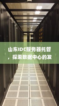 山东IDC服务器托管，探索数据中心的发展与影响