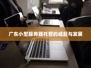 广东小型服务器托管的崛起与发展