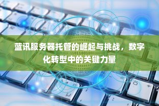 蓝讯服务器托管的崛起与挑战，数字化转型中的关键力量