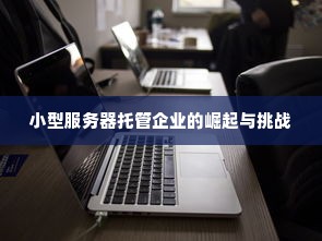 小型服务器托管企业的崛起与挑战