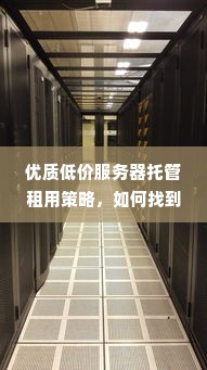 优质低价服务器托管租用策略，如何找到性价比最高的解决方案？