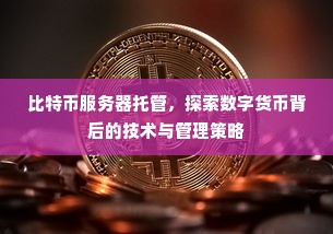 比特币服务器托管，探索数字货币背后的技术与管理策略