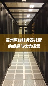 福州双线服务器托管的崛起与优势探索