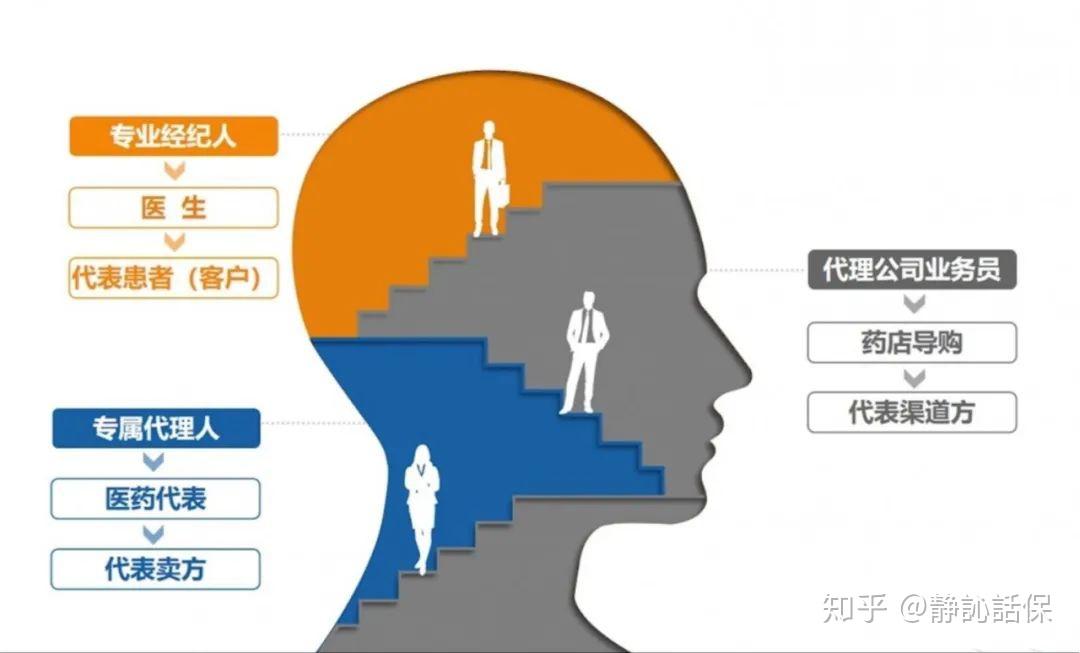 代理商的业务员是做什么的 