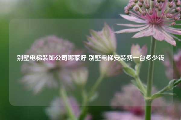 别墅电梯装饰公司哪家好 别墅电梯安装费一台多少钱