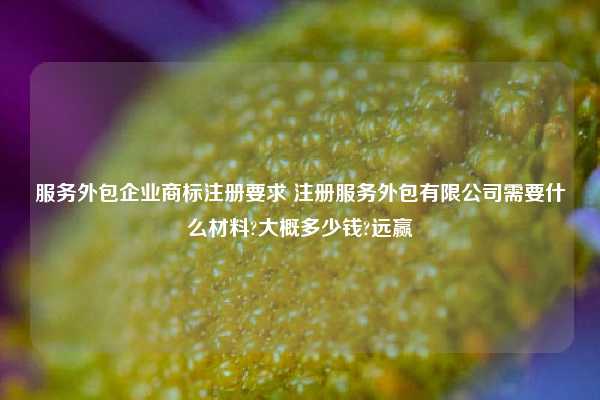 服务外包企业商标注册要求 注册服务外包有限公司需要什么材料?大概多少钱?远赢