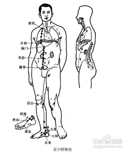 心包经流注散步的好处 心包经流注散步的好处是什么