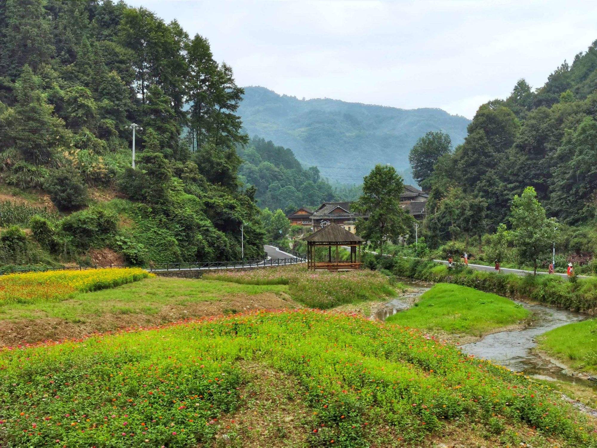 贵州三都尧人山游玩攻略 三都县尧人山国家森林公园