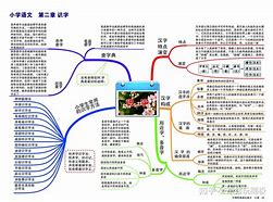 小学语文学习方法北大 