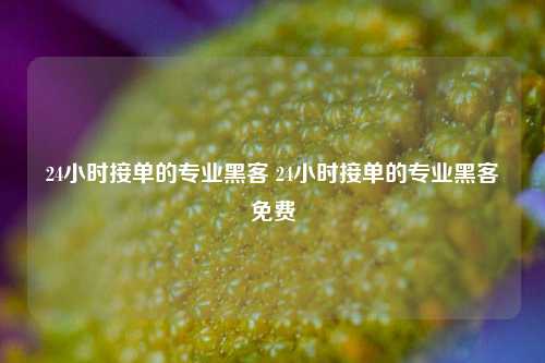 24小时接单的专业黑客 24小时接单的专业黑客免费