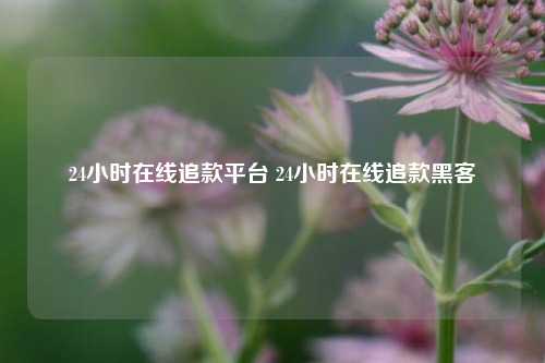 24小时在线追款平台 24小时在线追款黑客