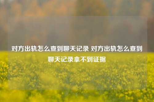 对方出轨怎么查到聊天记录 对方出轨怎么查到聊天记录拿不到证据