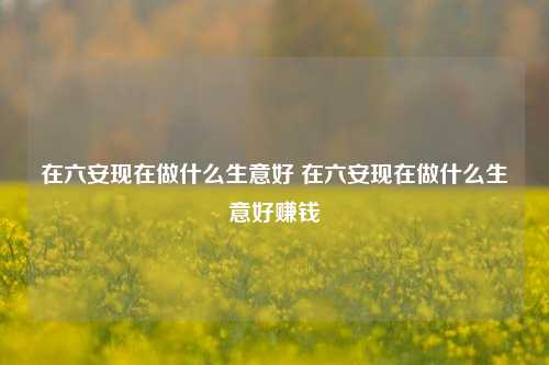 在六安现在做什么生意好 在六安现在做什么生意好赚钱