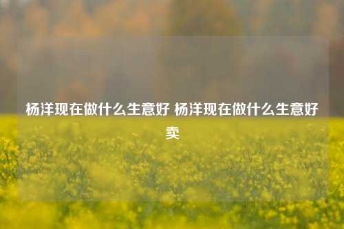 杨洋现在做什么生意好 杨洋现在做什么生意好卖