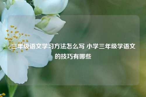 三年级语文学习方法怎么写 小学三年级学语文的技巧有哪些